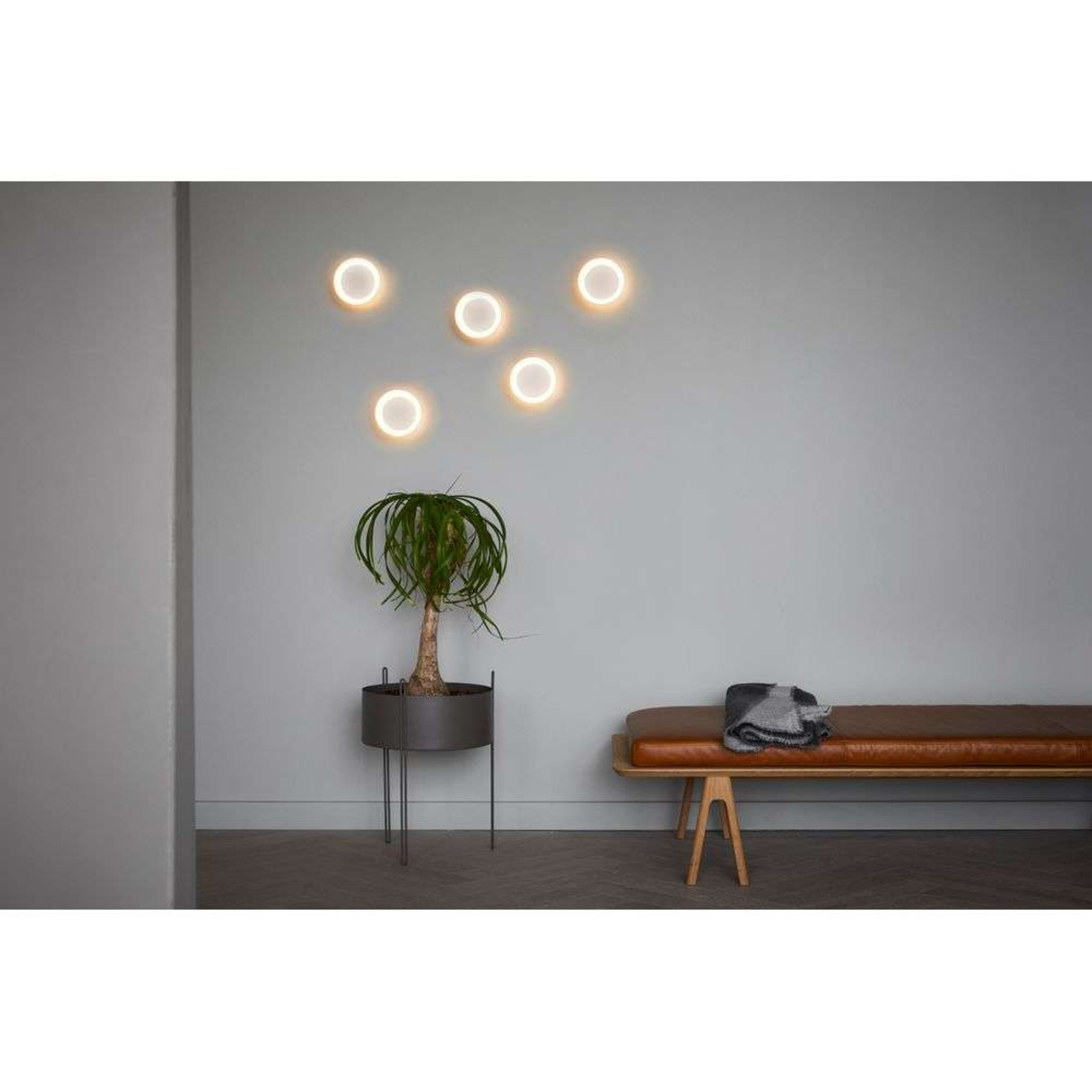 Cookie Wall-/Ceiling Lamp Black - Loom Design