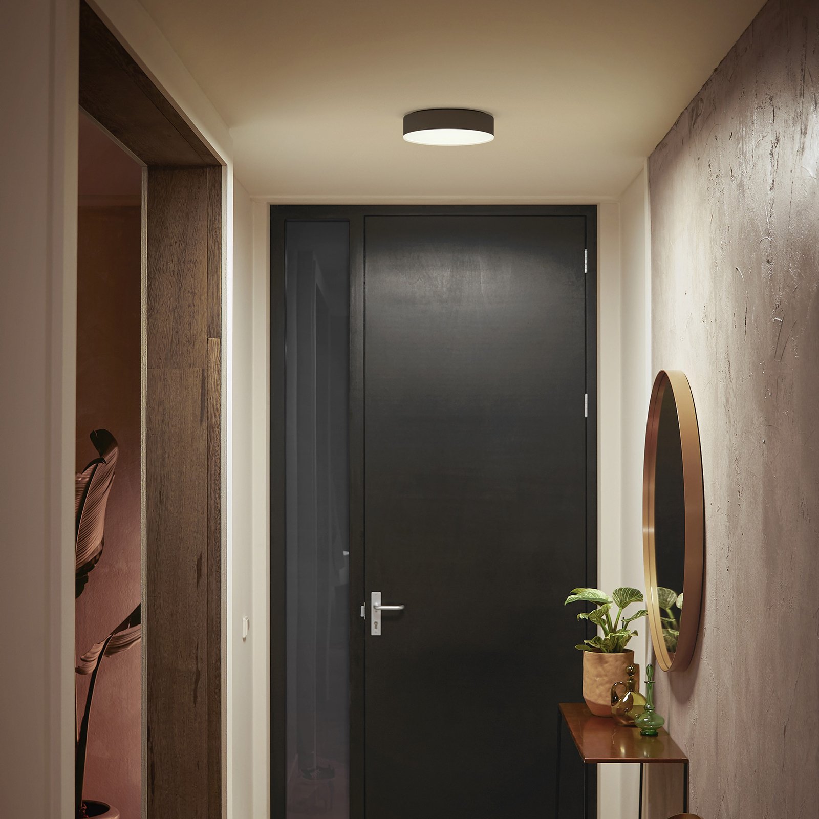 Philips Hue Enrave LED plafondlamp 26,1cm zwart