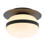 Palma ceiling lamp with glass shade