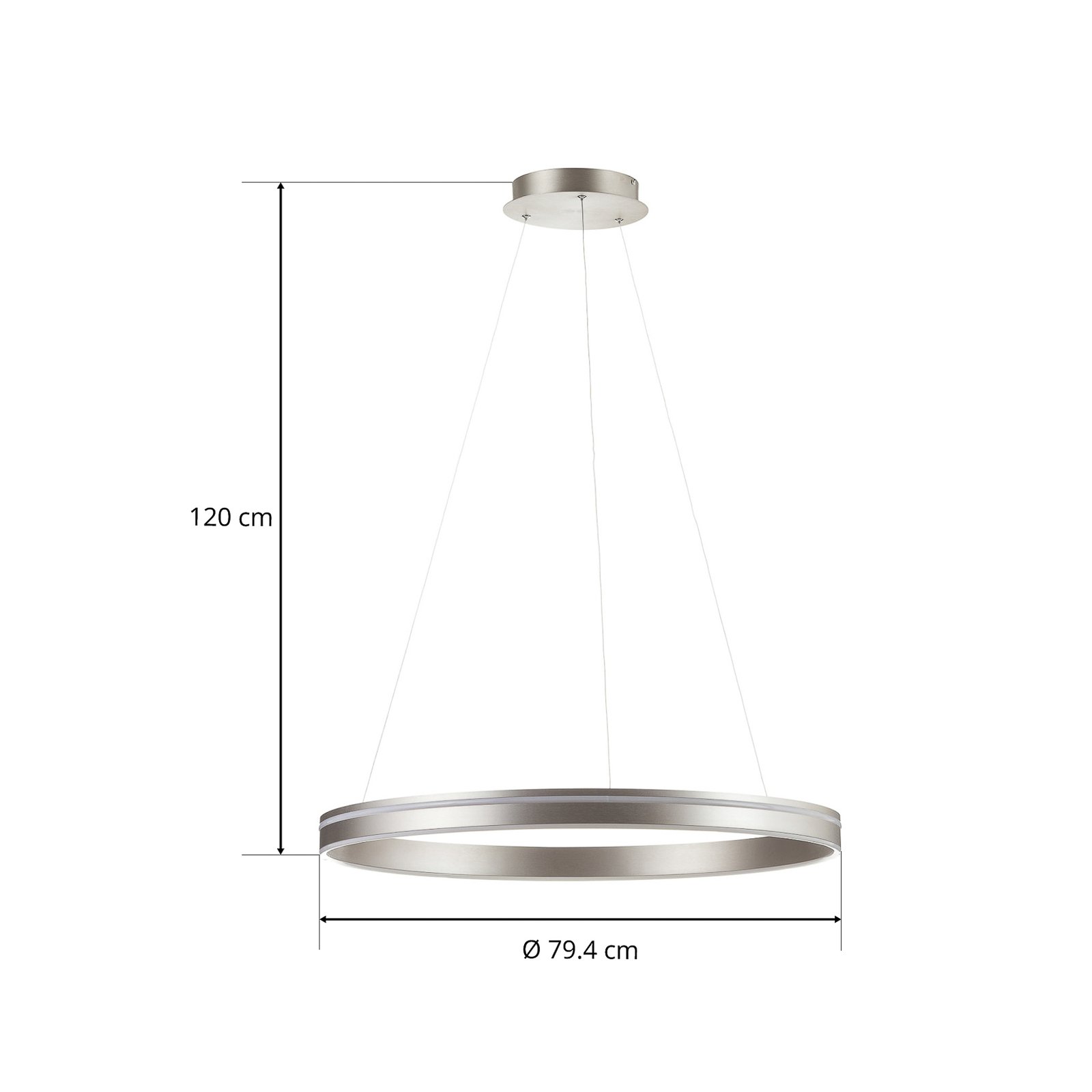 Paul Neuhaus Q-VITO LED hanglamp 79cm staal