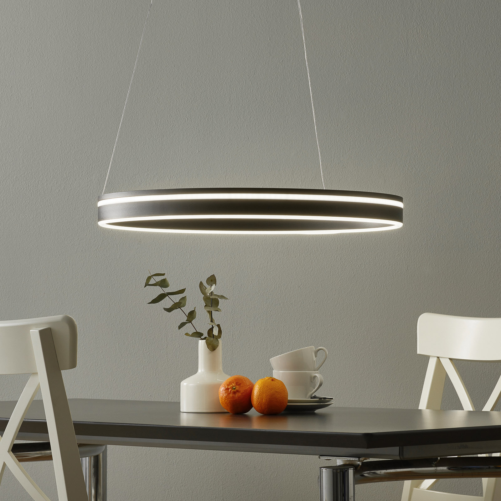 Paul Neuhaus Q-VITO LED hanging light