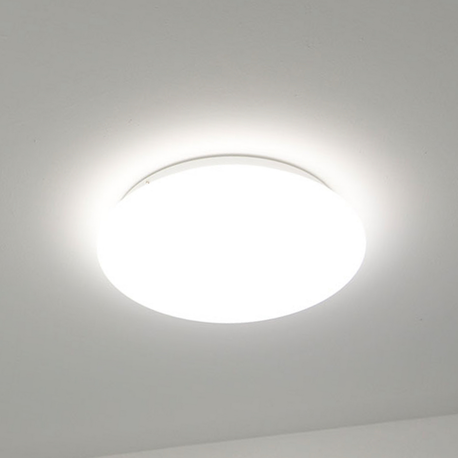 DOTLUX LED stropna svjetiljka LUNA, bijela, Ø 33 cm, PMMA, CCT IP44