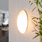 Lucande wall light Jemima, 24 cm, glass, elliptical