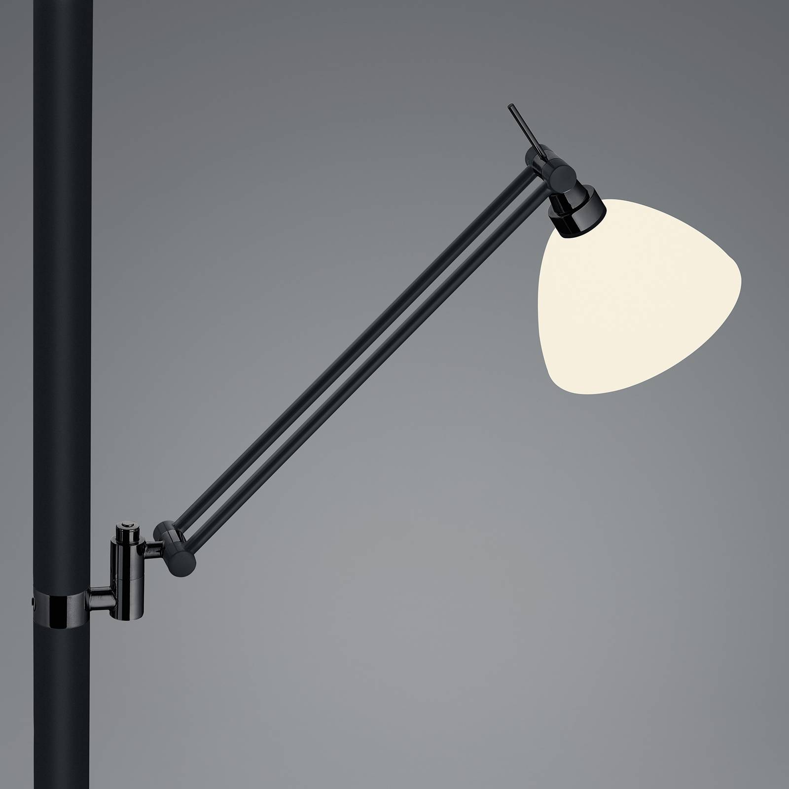 Lampa stojąca LED Findus, 2-punktowa, czarna