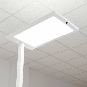 LED office floor lamp Almira with dimmer, white