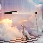 SELETTI LED hanglamp BIC, zwart, lengte 173 cm