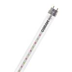 OSRAM Ampoule pour plantes LED T8 18,3W Tube Fluora 2.500K 150cm