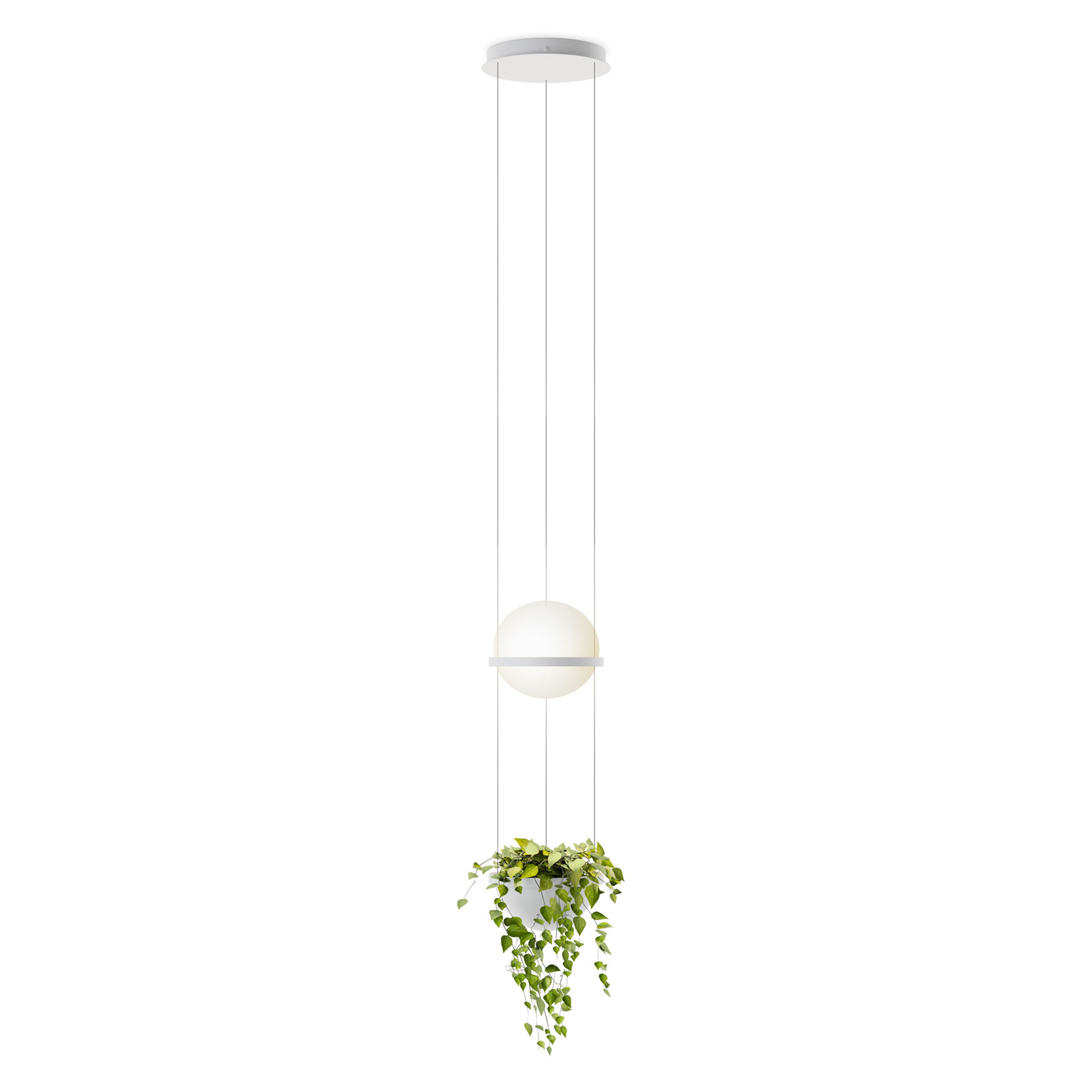 Vibia Palma 3724 hanging light, plant bowl