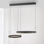 Paul Neuhaus Esko LED hanglamp, zwart, lengte 90 cm