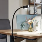 Lindby screw-clamp lamp Jyla, matt black, GX53, flexible arm