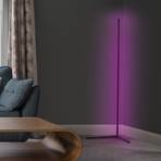 LEDVANCE SMART+ WiFi Floor Corner schwarz 140cm