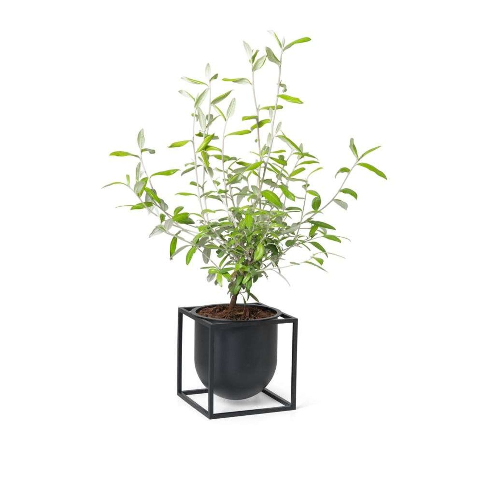 Kubus 14 Ghiveci Pentru Plante Black - Audo Copenhagen