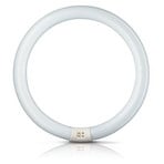 G10q 32W 865 Fluorescenčni obroč Master Circular TL-E