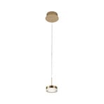 LED pendant light Dunk, brass, 1-bulb, 3,000 K, metal