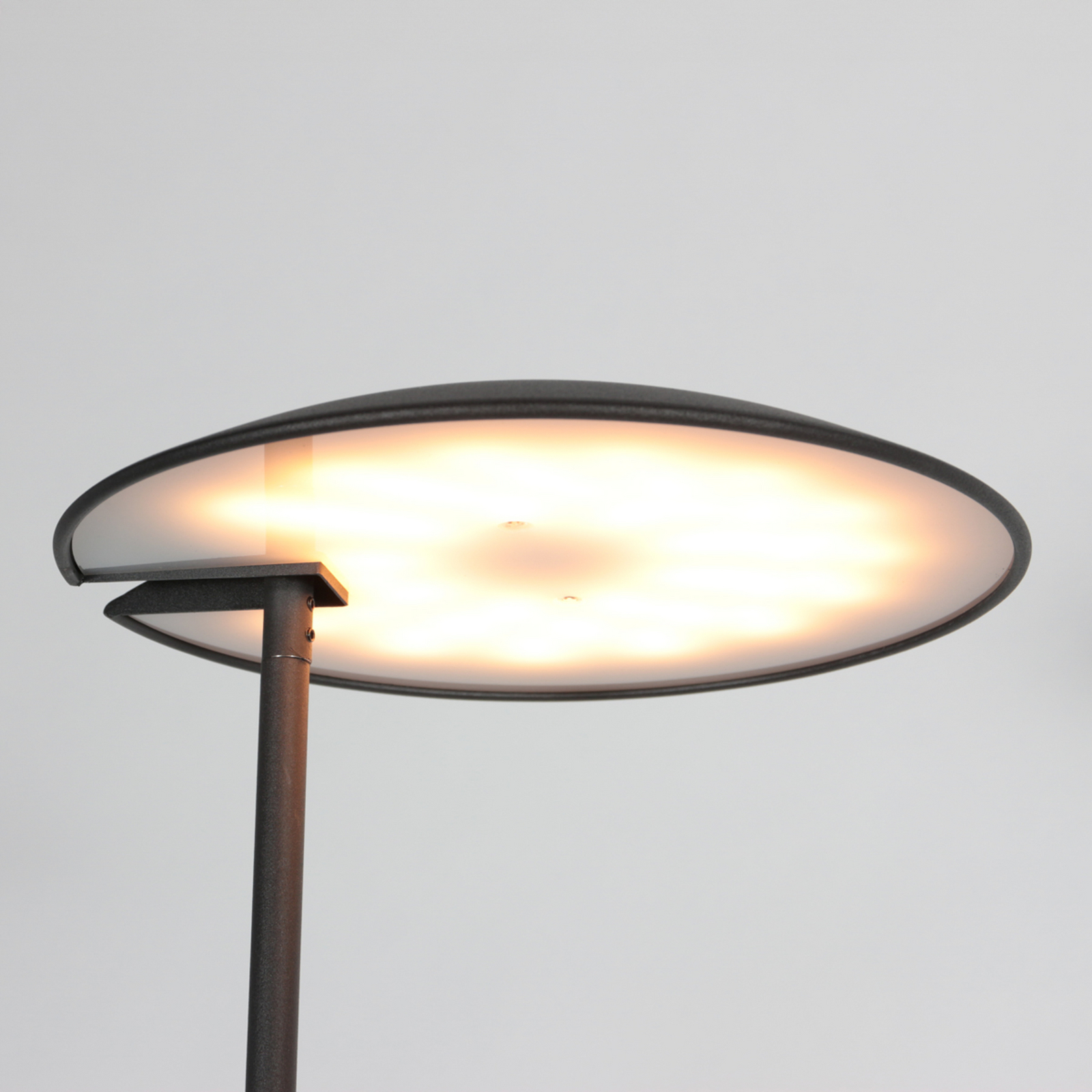 LED uplighter Daphne 2 + leeslampje zwart, CCT, afstandsbediening LED uplighter Daphne 2 + leeslampje zwart, CCT, afstandsbediening