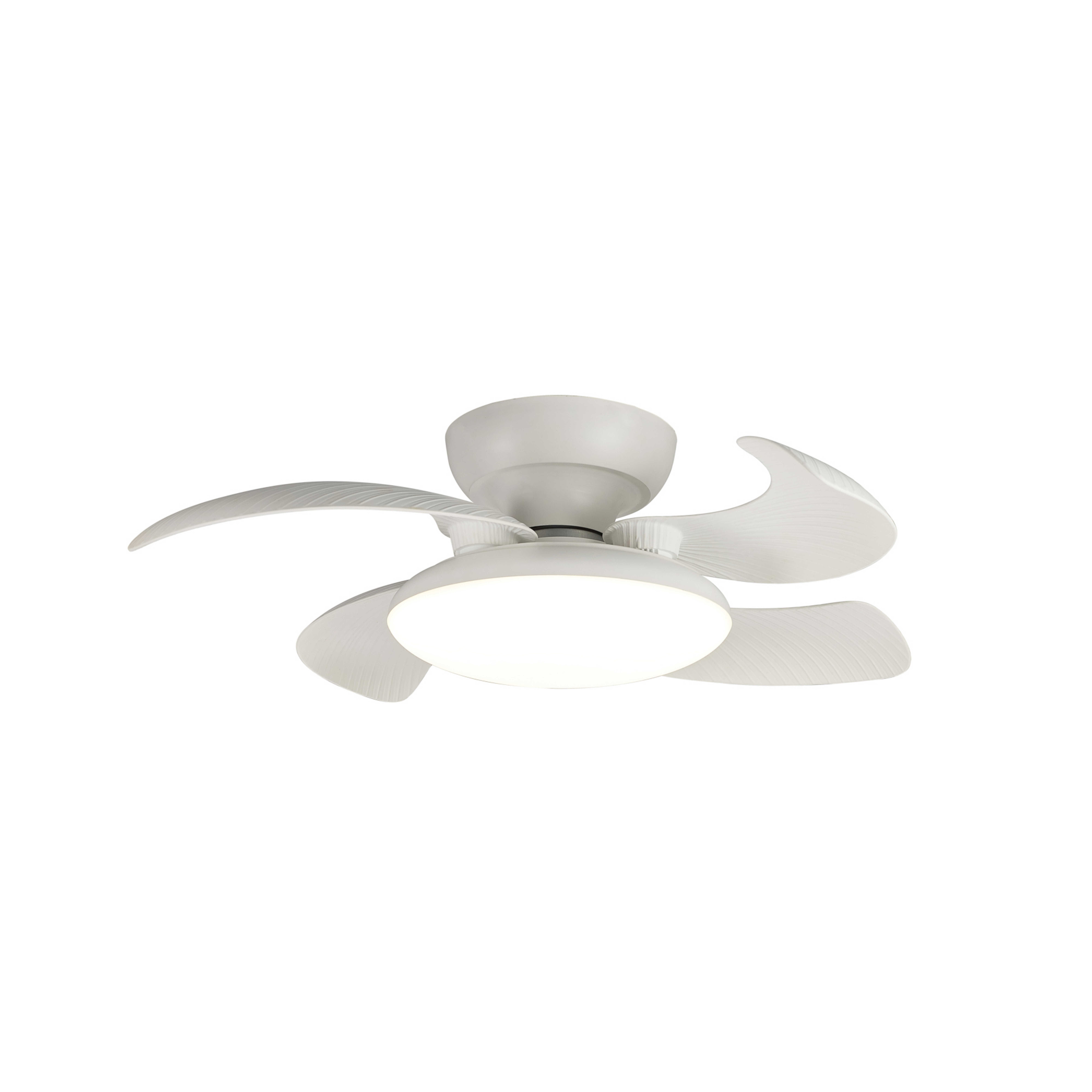 LED-Deckenventilator Aloha weiß DC-Motor leise Ø 90 cm CCT