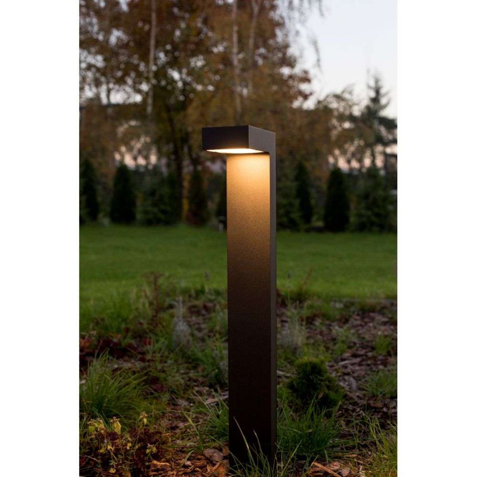 Asker LED Lampă de Stâlp de Exterior H55 Negru - Norlys