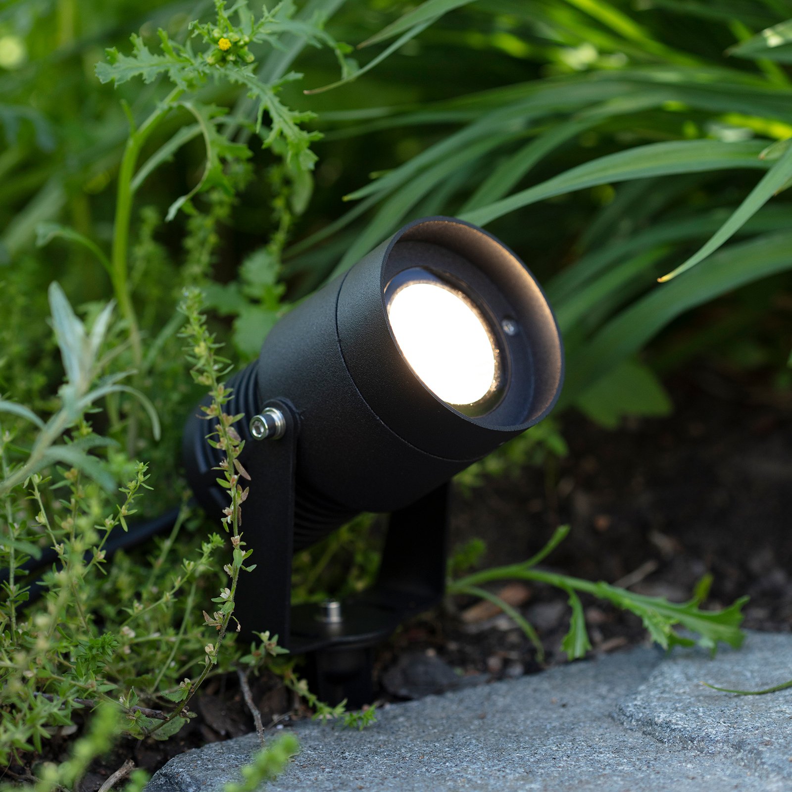 Garden 24 foco LED, negro, 15 vatios