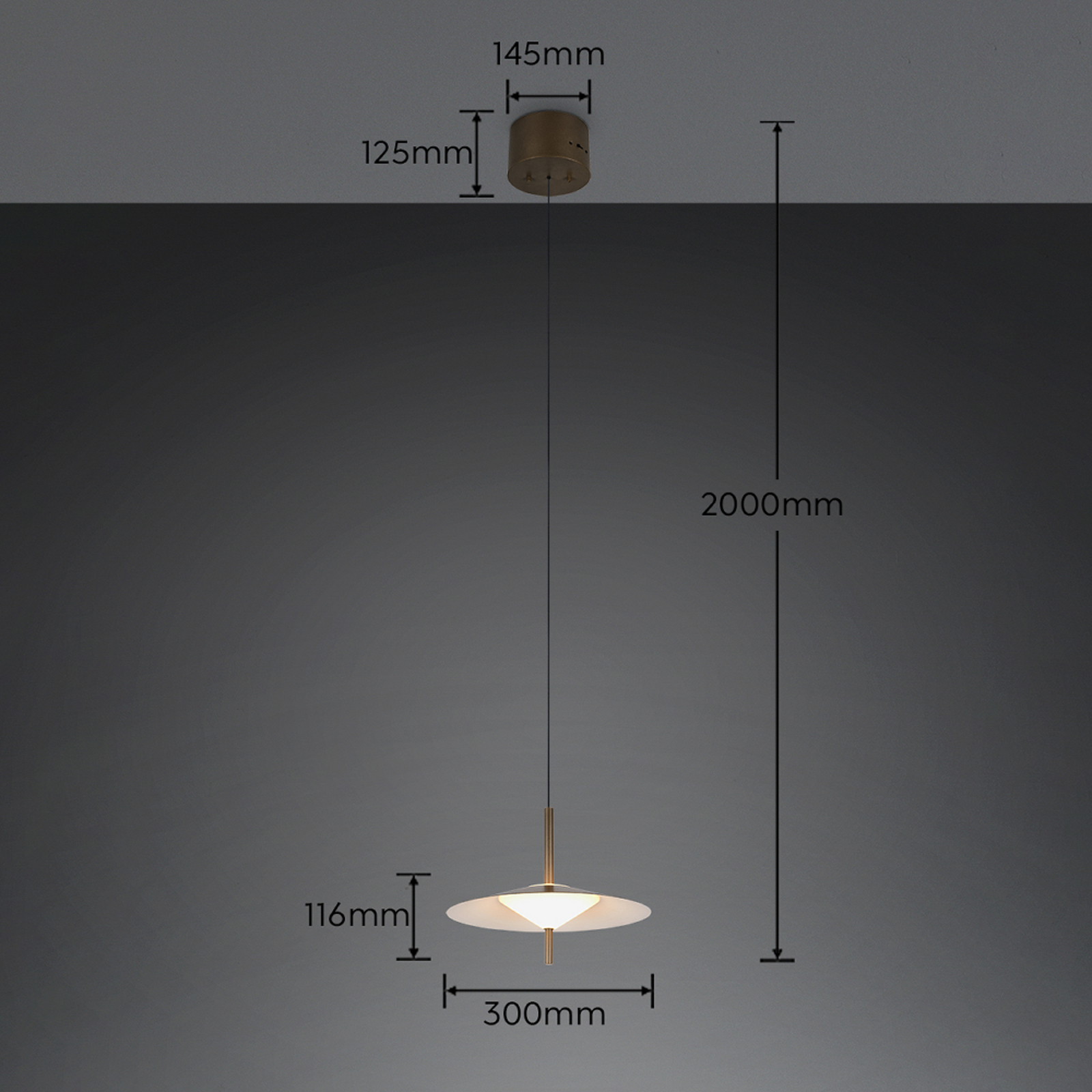 LED piekaramā lampa „Amalo“, platīna krāsā, Ø 30 cm, metāls, CCT LED piekaramā lampa „Amalo“, platīna krāsā, Ø 30 cm, metāls, CCT