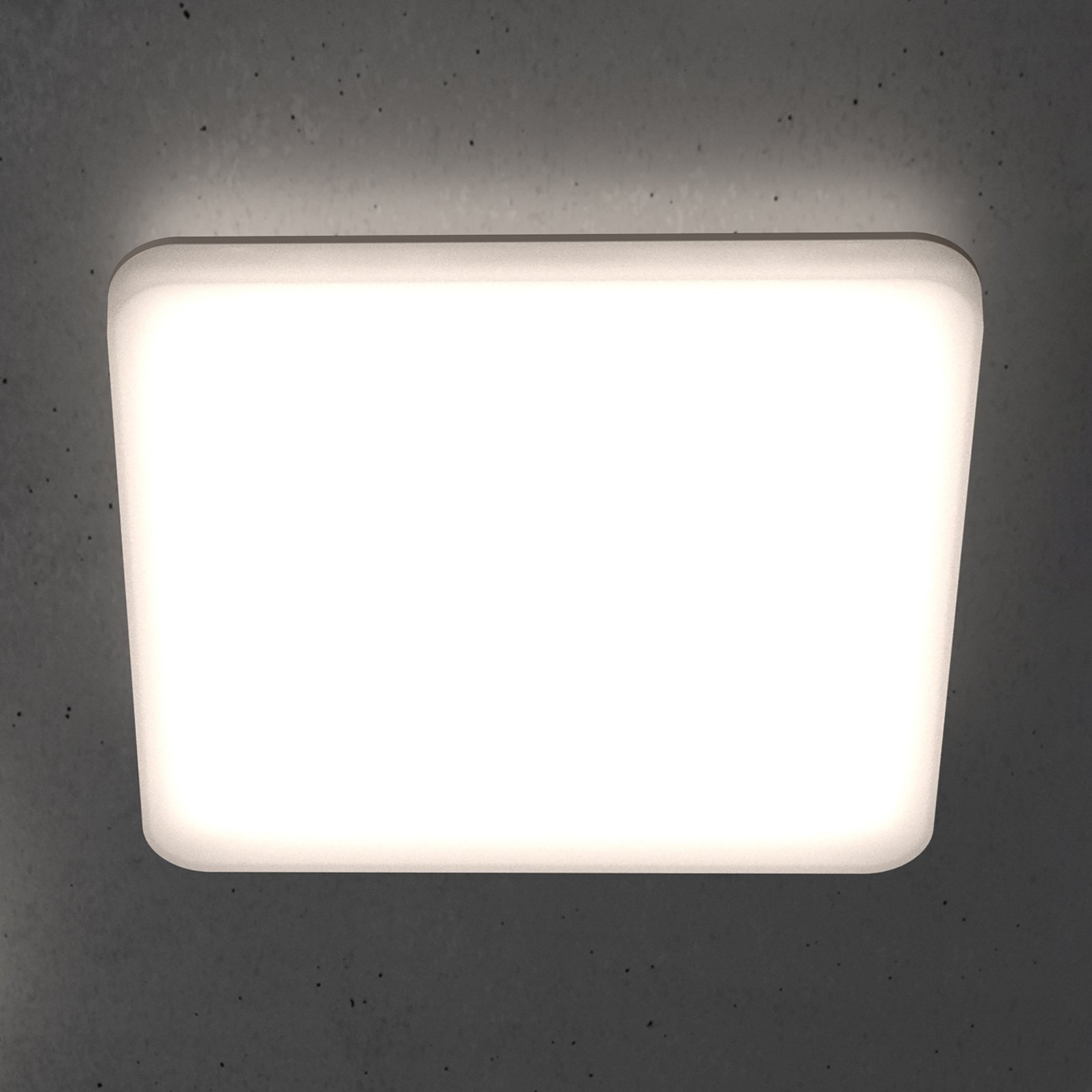 STEINEL RS PRO R20 Q basic LED ceiling lamp, angular