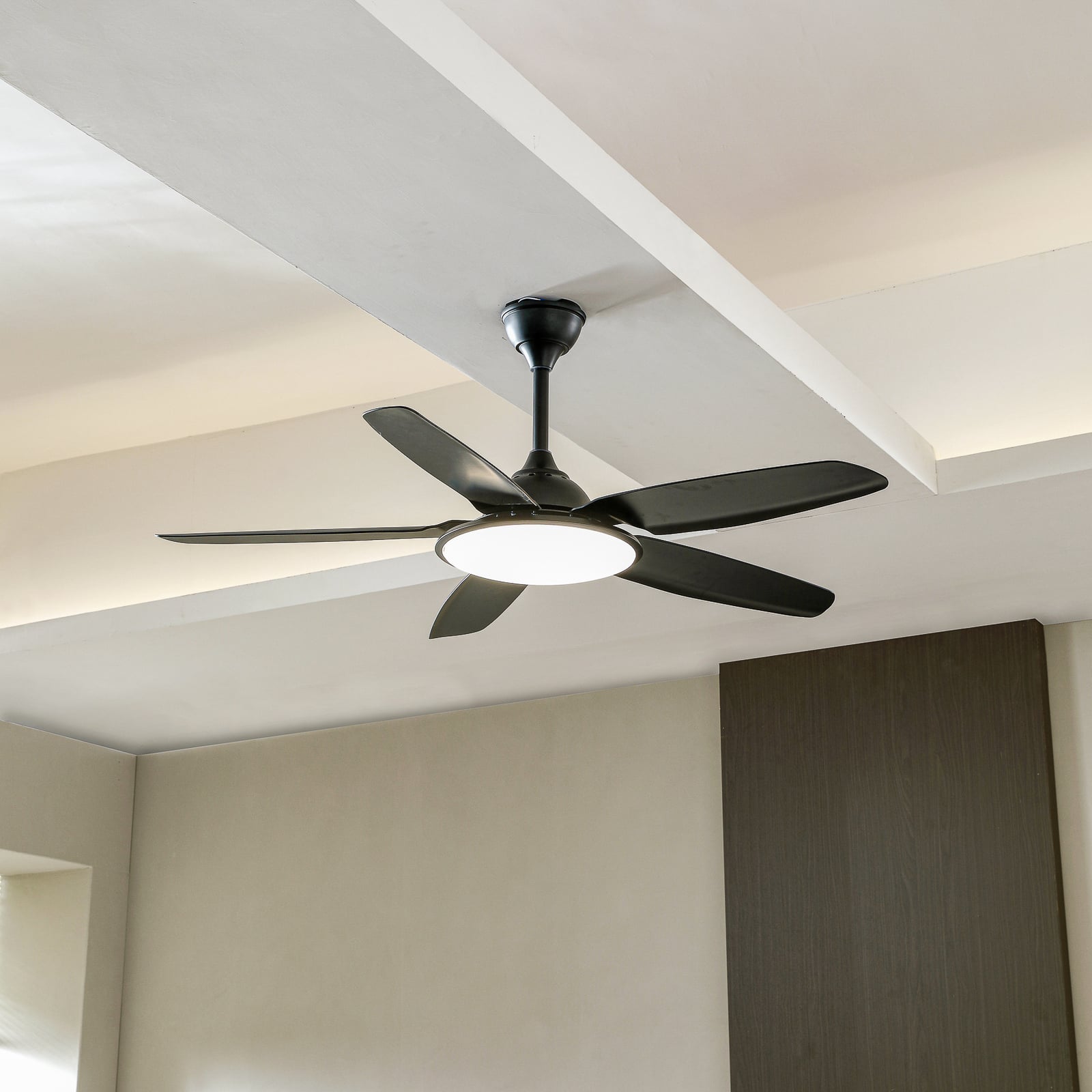 Ventilateur de plafond LED Divian, noir, courant continu, silencieux, CCT -