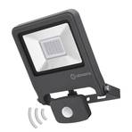 Endura Flood sensor outdoor spotlight 840 DG 30 W