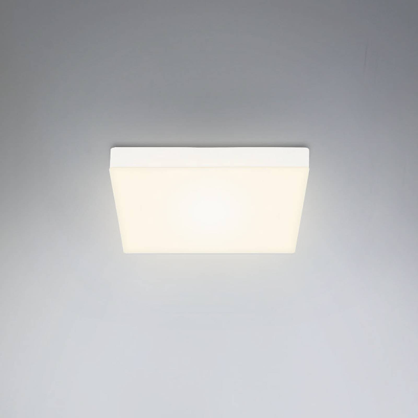 Lampa sufitowa LED Flame, 21,2 x 21,2 cm, biała