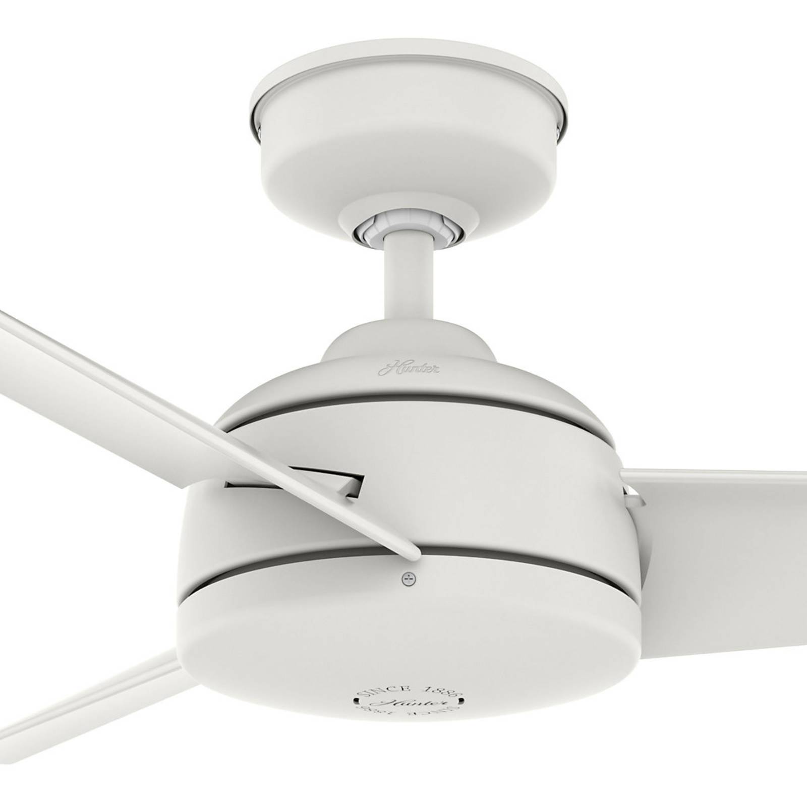 Hunter Trimaran ventilateur de plafond blanc