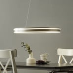 Paul Neuhaus Q-VITO LED piekaramā lampa 59cm tērauds