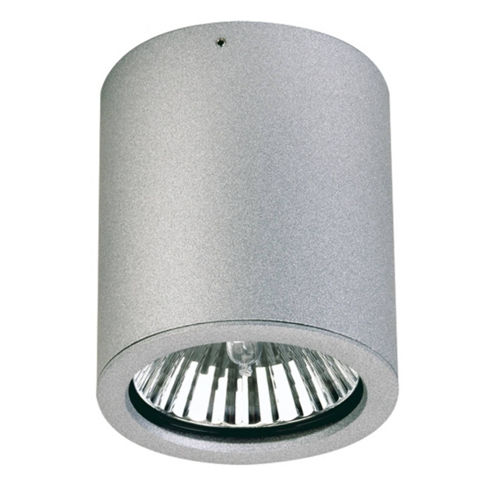 Albert Leuchten Gavino outdoor rec. ceiling spotlight in silver, cast aluminium, E27, 75 W, energy efficiency: A++, H: 12 cm