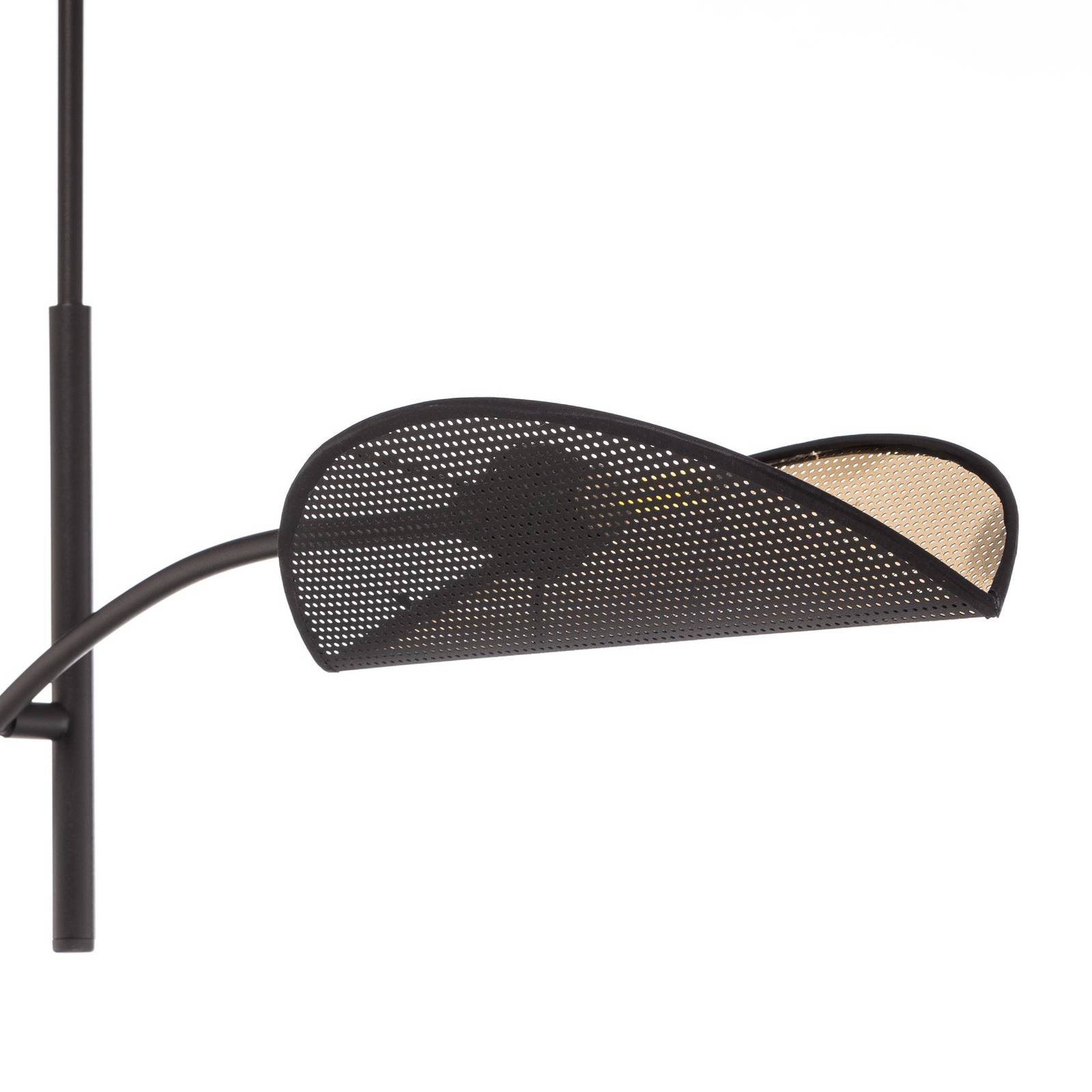 Lampa sufitowa Lotus, czarna/złota, 2-punktowa