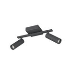 Faretto da soffitto Dara, lunghezza 28 cm, antracite, metallo, a 2 luci.