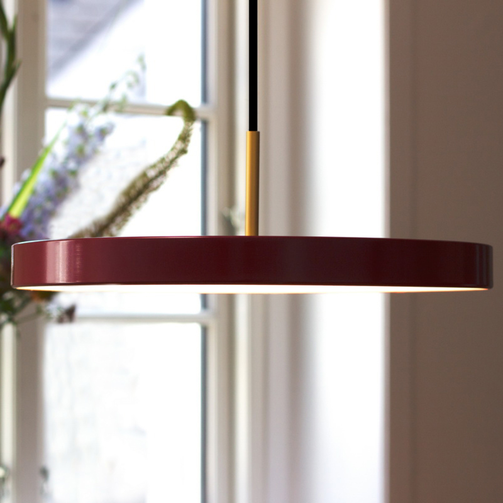 UMAGE Asteria mini hanging light brass ruby red