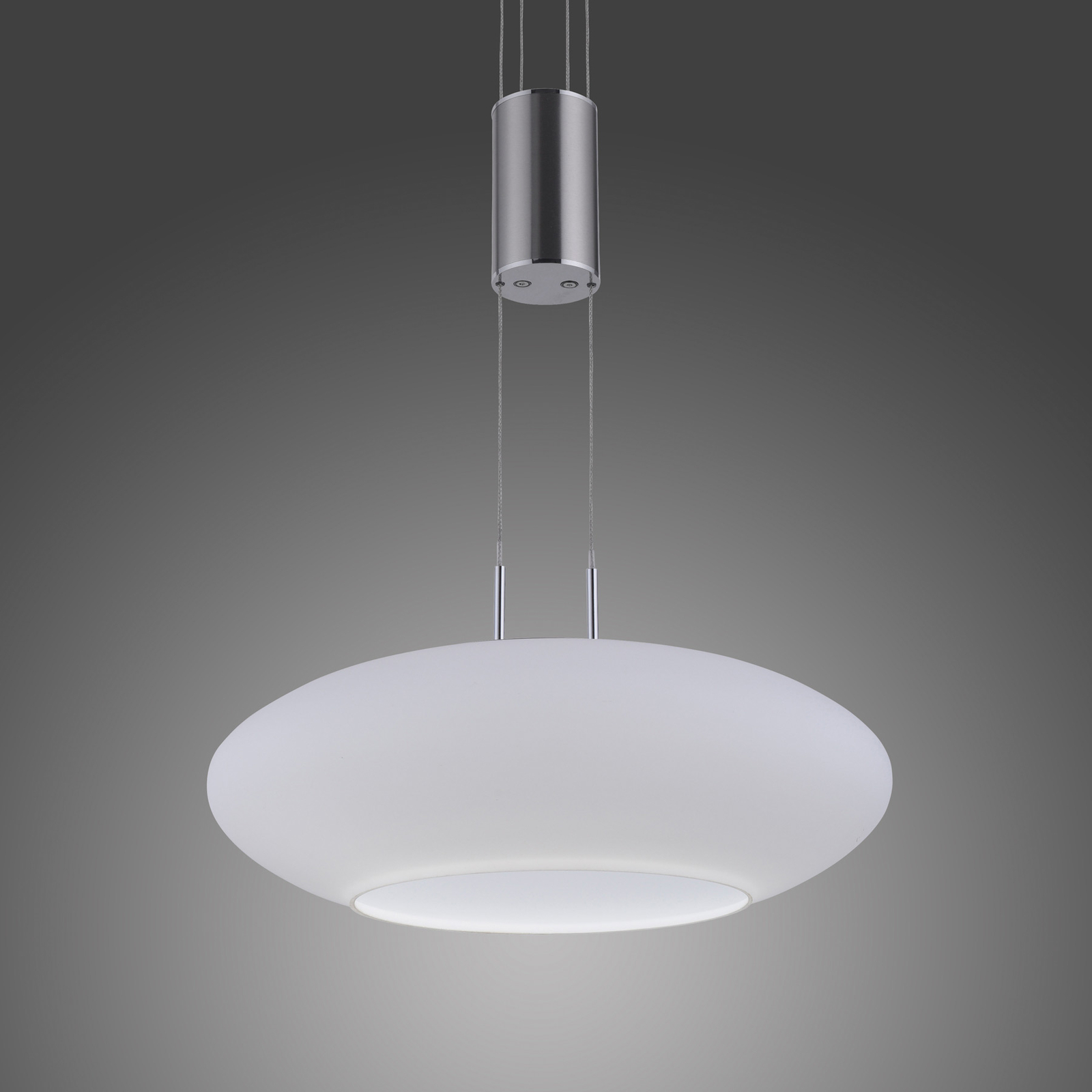 Paul Neuhaus Q-ETIENNE suspension LED 1 lampes