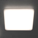 STEINEL RS PRO R20 Q basic LED ceiling lamp, angular