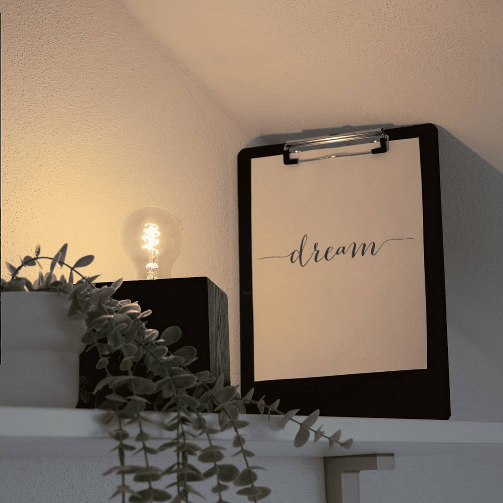 SEGULA Tischleuchte Cozy, Buche schwarz, Würfelform, E27 günstig online kaufen