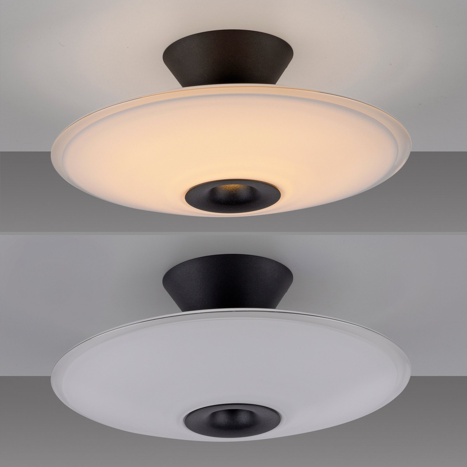 Paul Neuhaus LED-Deckenlampe Elipsa, weiß/schwarz, Ø 35 cm