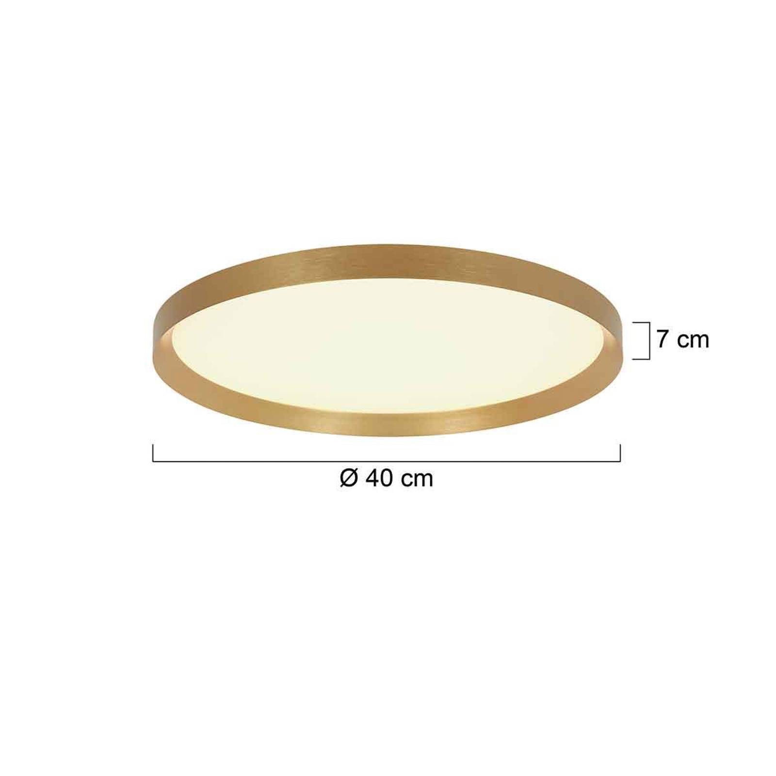 Steinhauer Flady taklampa LED guldfärgad Ø 40 cm direkt/indirekt