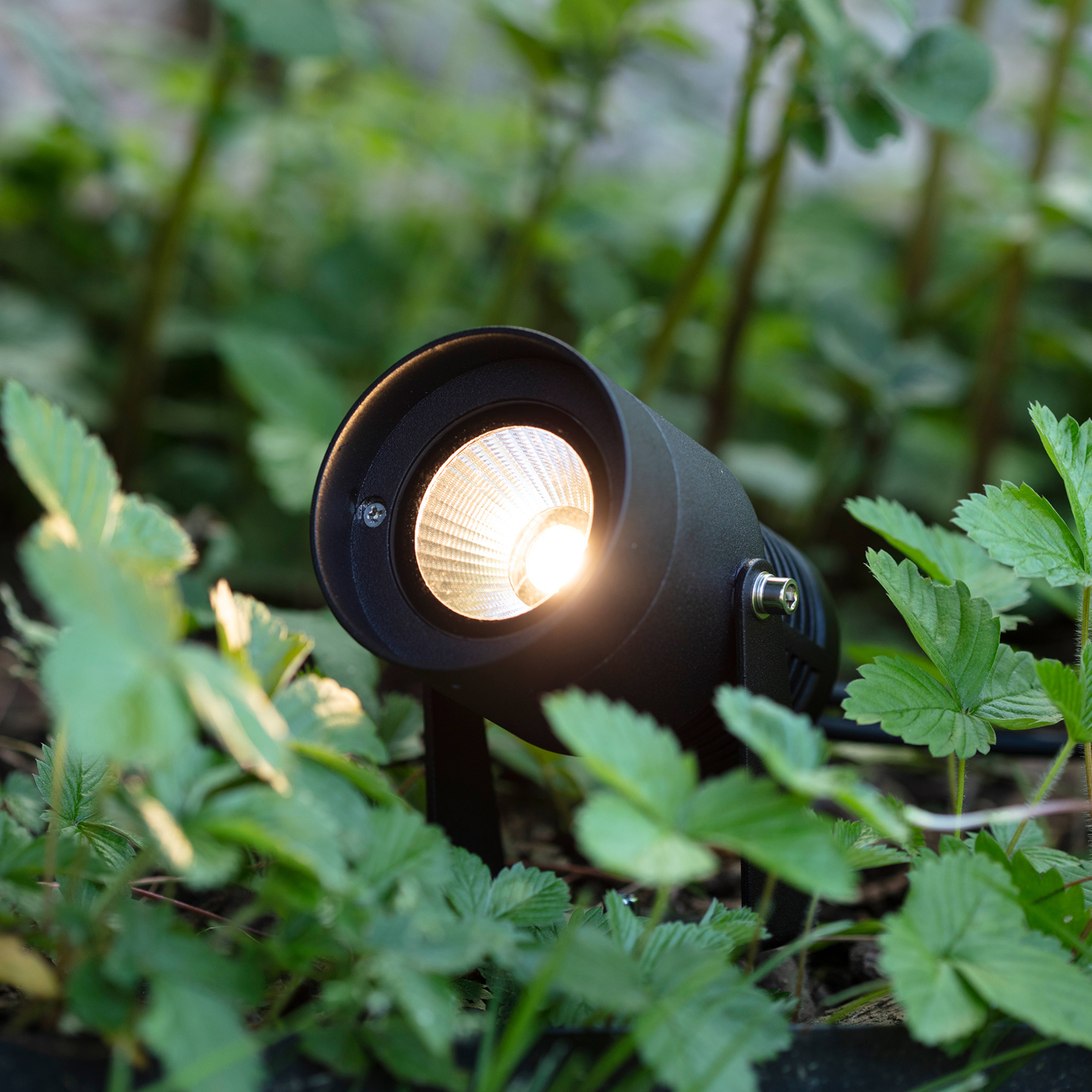 Garden 24 LED spot, noir, 6 watts