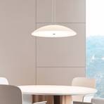 BANKAMP Manu LED pendant ZigBee dimmable nickel