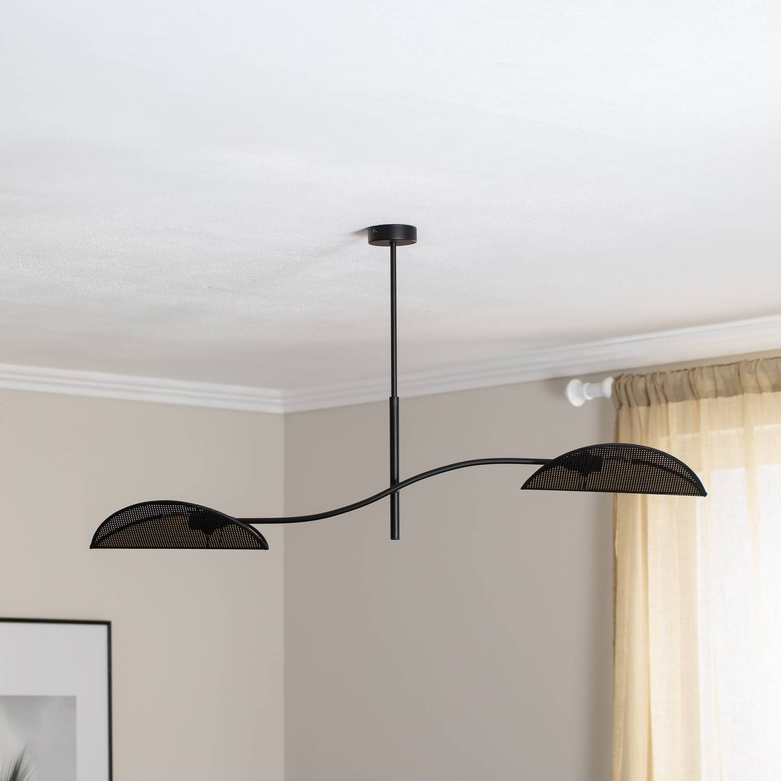 Lampa sufitowa Lotus, czarna/złota, 2-punktowa