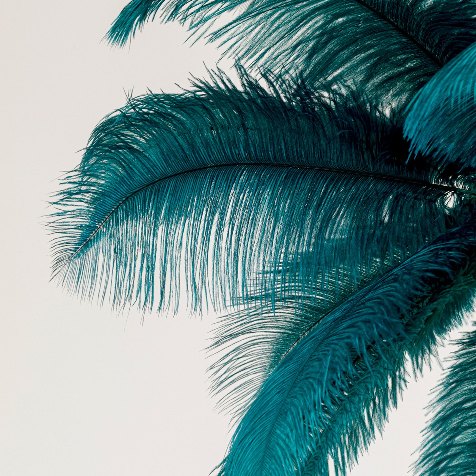 Lámpara colgante KARE Feather Palm, verde, plumas, Ø 87 cm, G9 Lámpara colgante KARE Feather Palm, verde, plumas, Ø 87 cm, G9