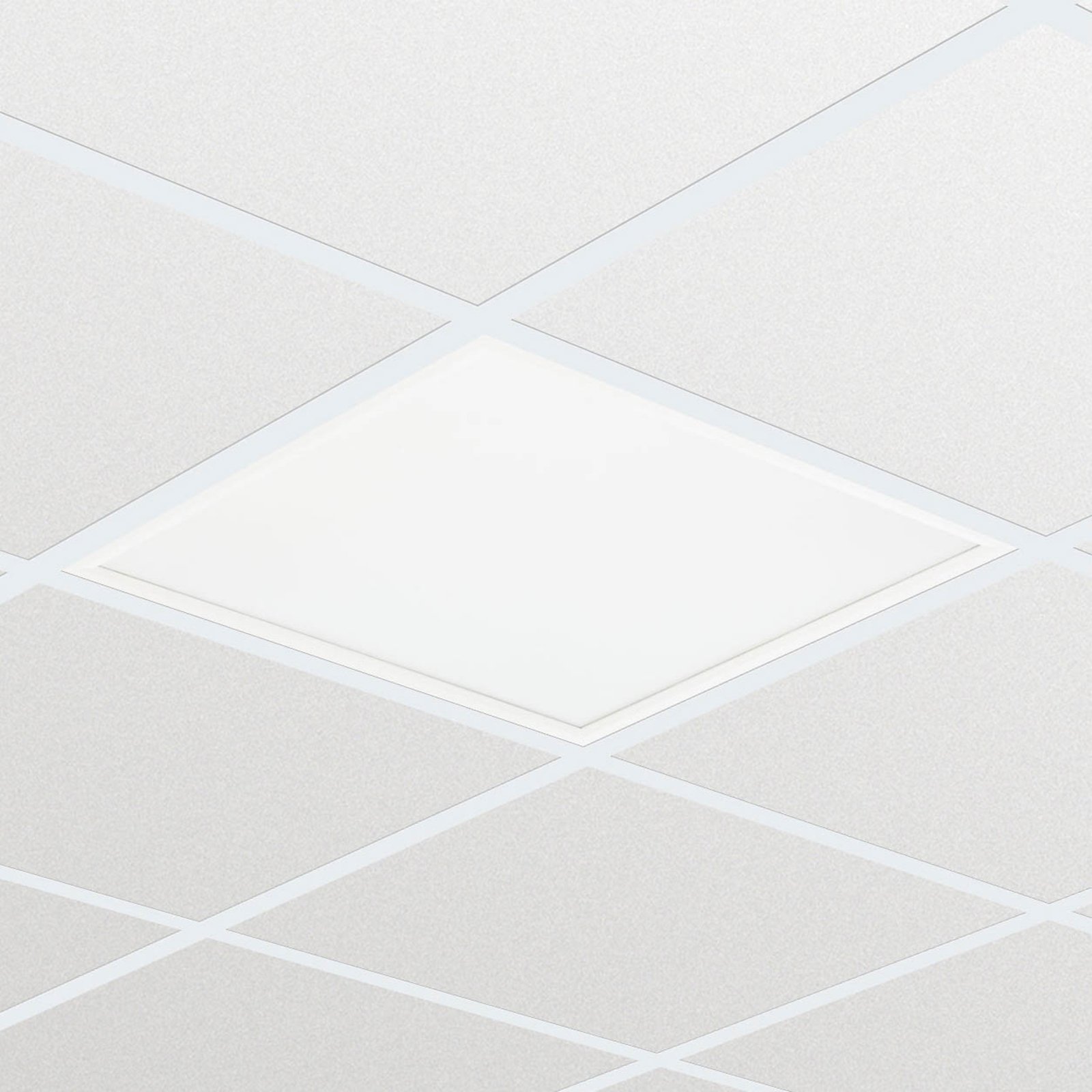 LED-Panel RC132V G4 LED W60L60 OC