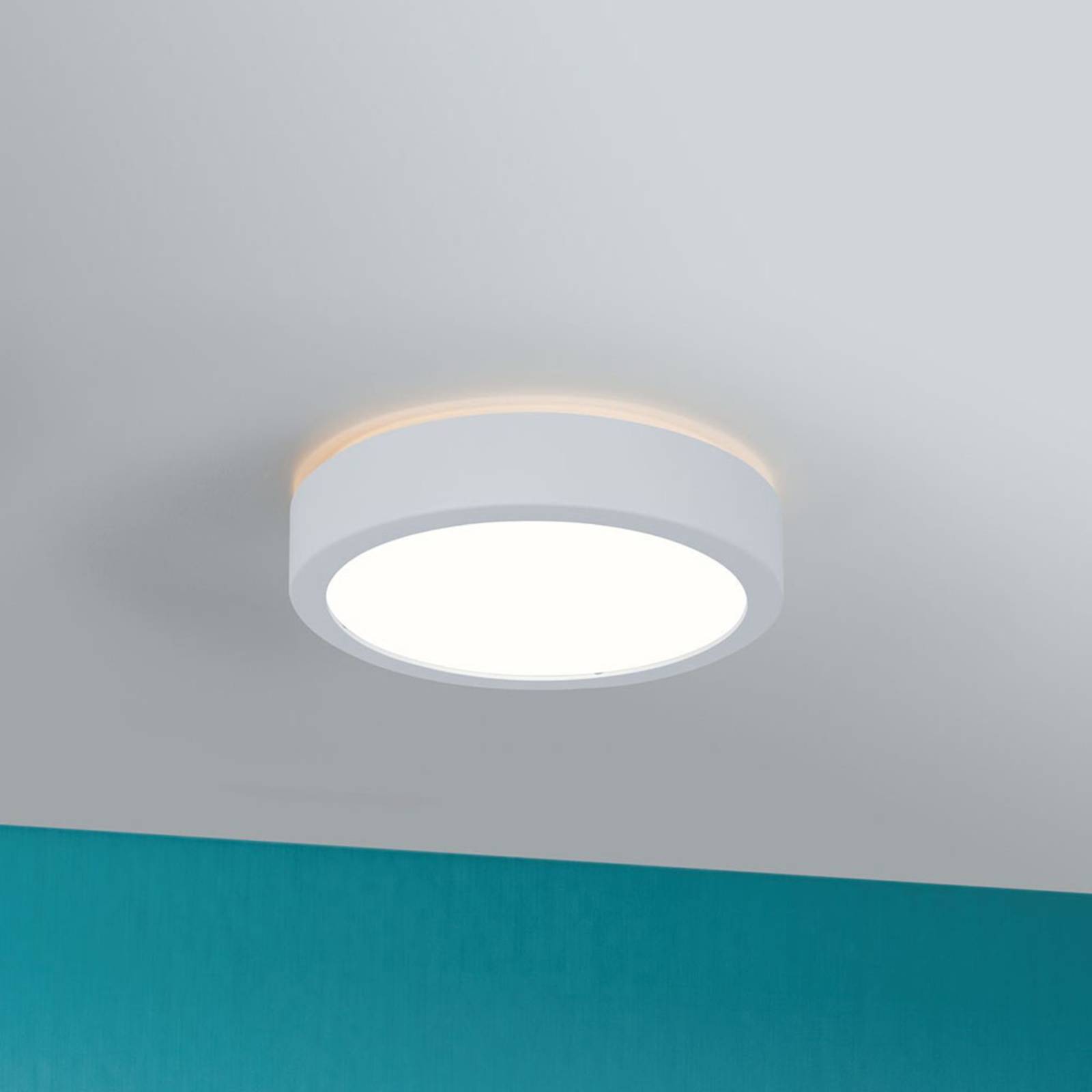 Photos - Chandelier / Lamp Paulmann Aviar LED ceiling lamp Ø 22cm white 4000K 