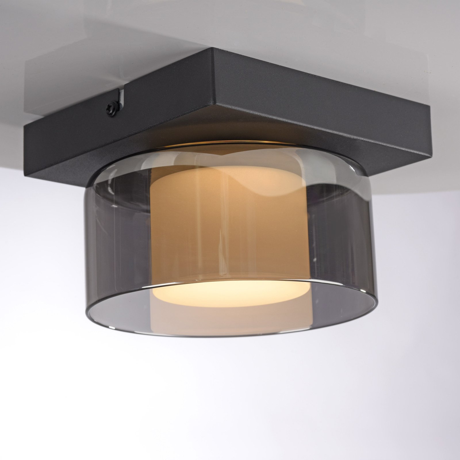 Paul Neuhaus LED-Deckenlampe Rika, schwarz, Länge 15 cm