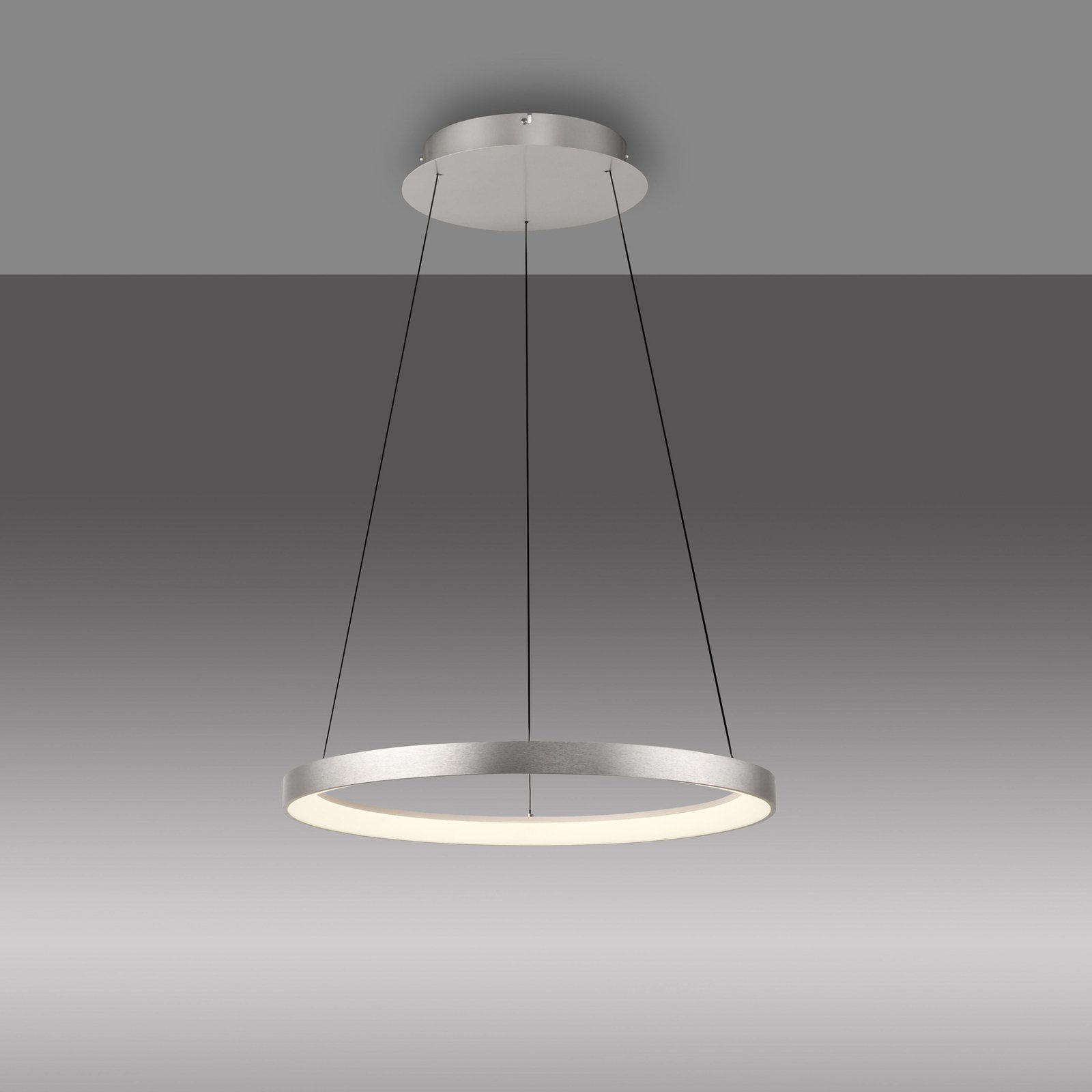 Paul Neuhaus LED piekaramā lampa Hoop, alumīnija krāsā, Ø 57cm, ar iespēju