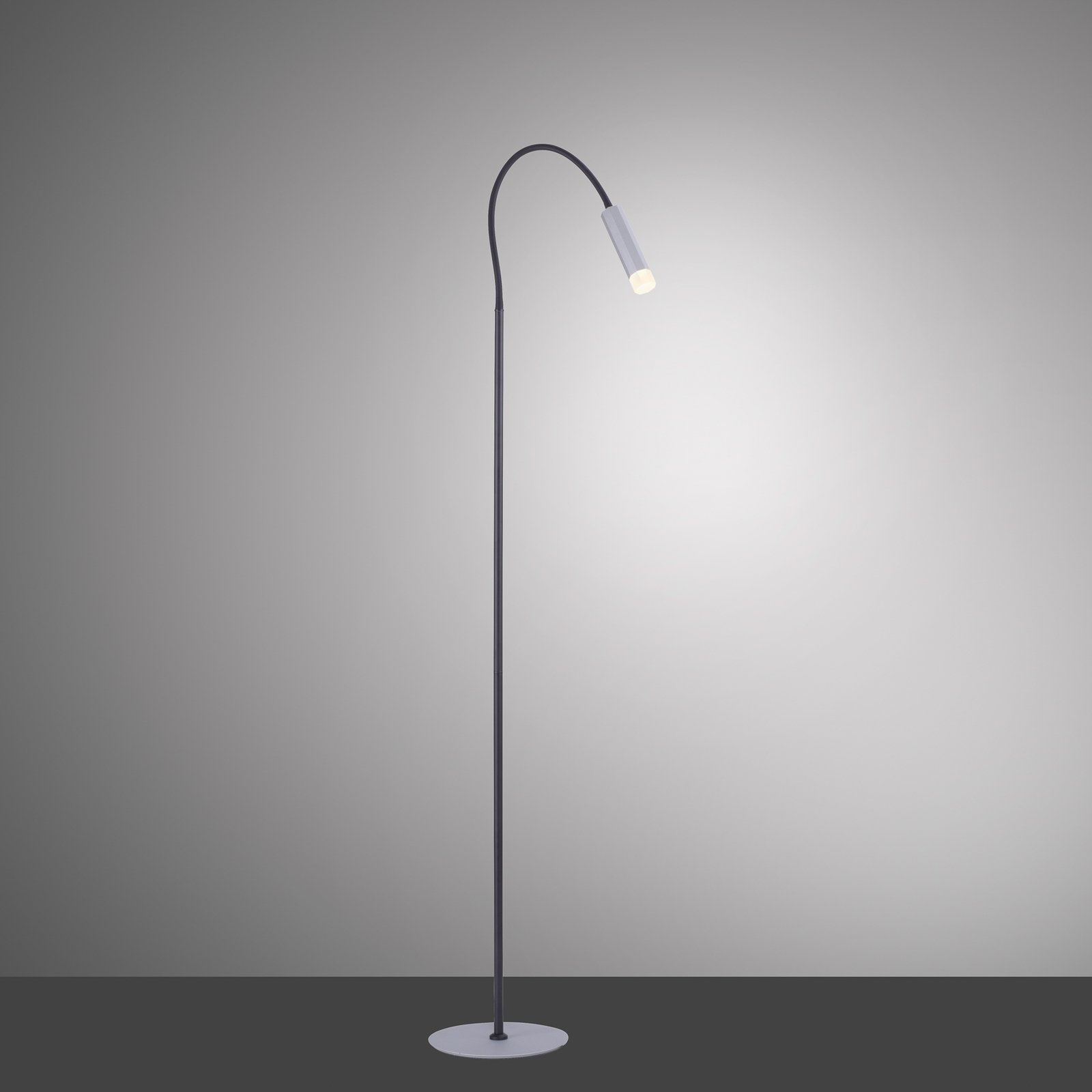 Paul Neuhaus Pure-Gemin lámpara de pie LED plata