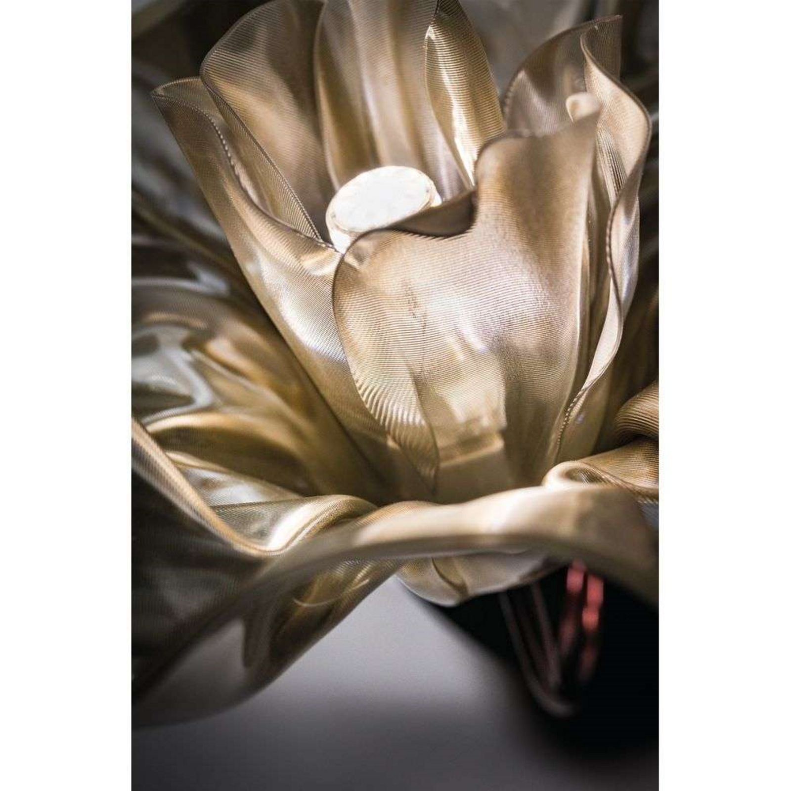 Lafleur Aplică de Perete Black/Golden - Slamp