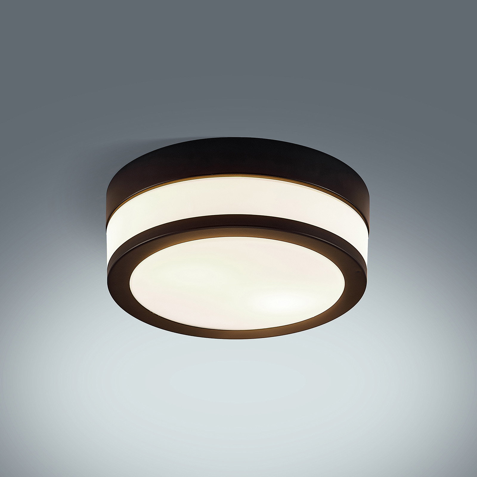 lindby flavi bathroom ceiling lamp