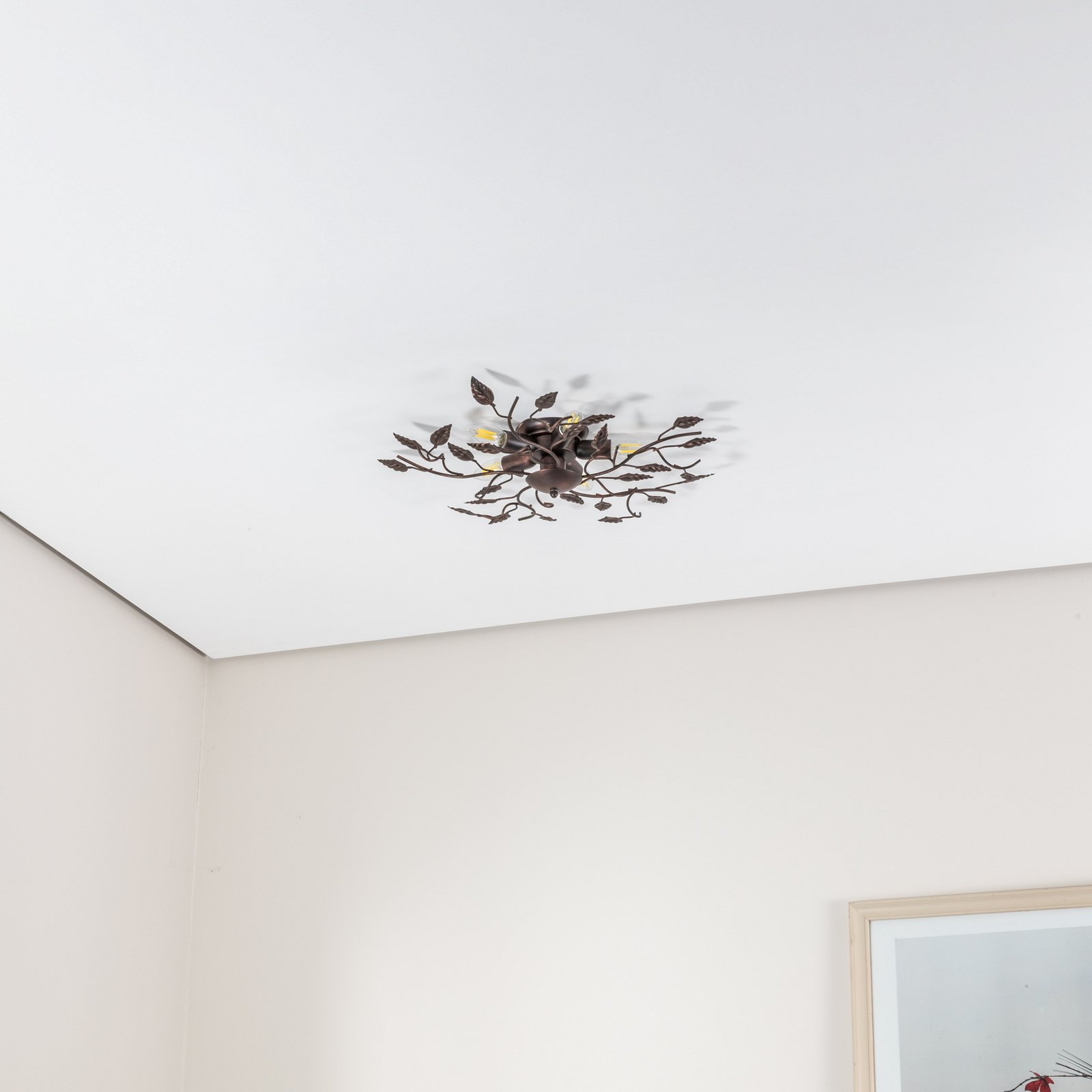 Loftlampe Cernecchio, 5 lyskilder, bronze